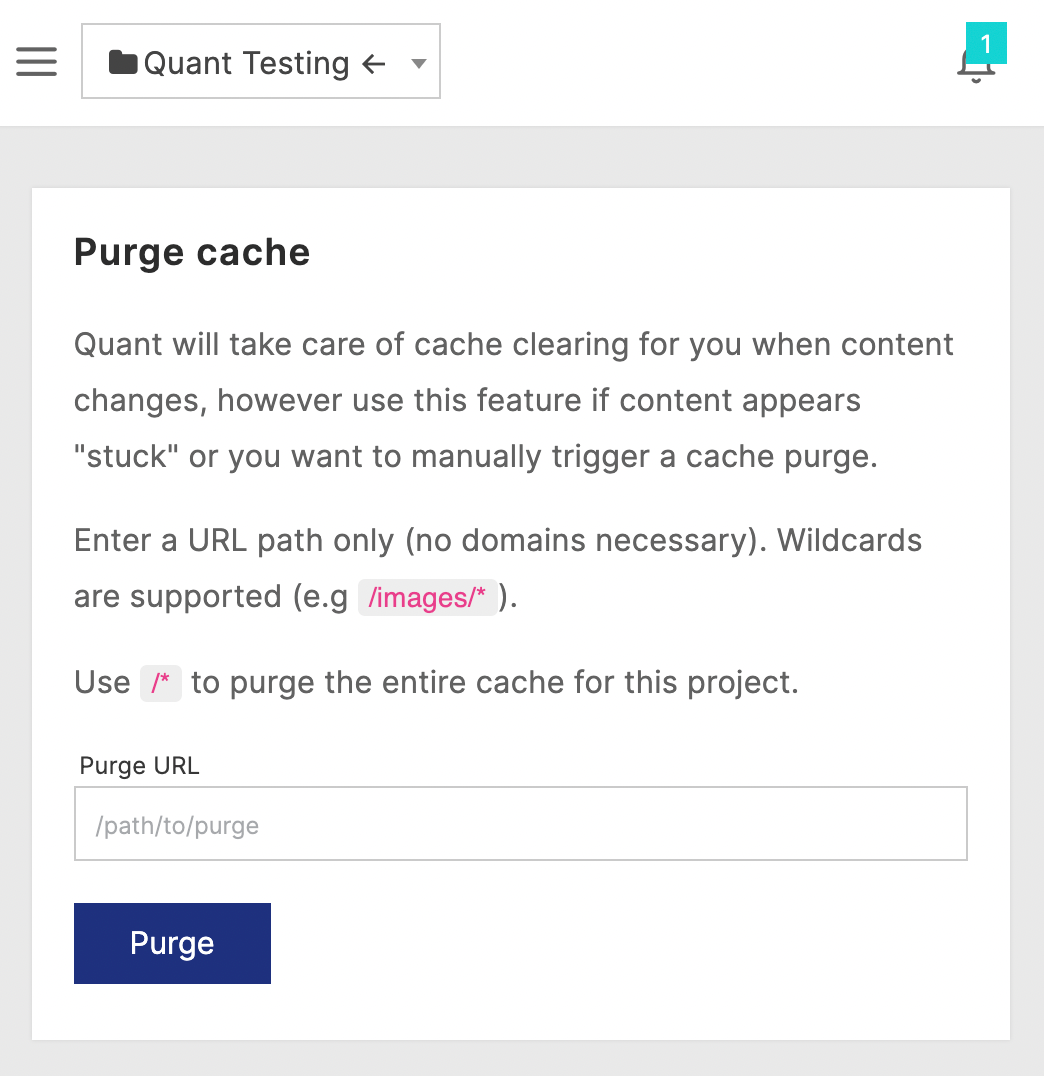 Quant Purge cache form with empty field