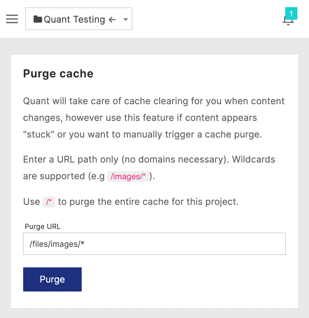 Quant Purge cache form with image root path to delete all images from cache