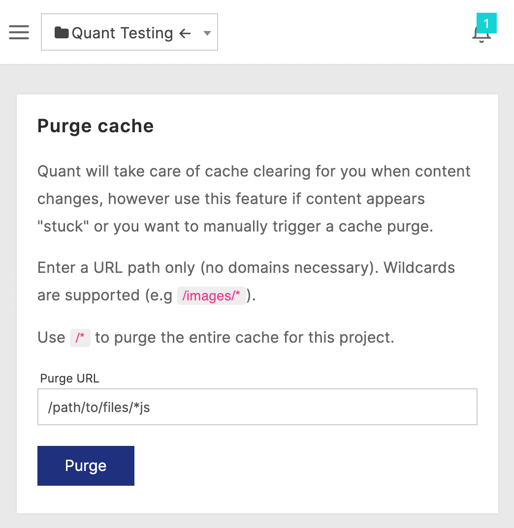 Quant Purge cache form to delete all JavaScript files from cache